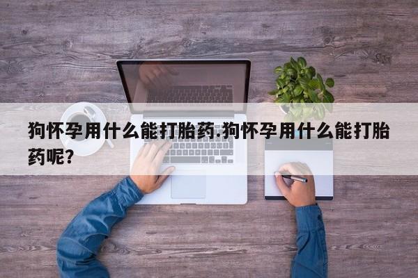 米非司酮在线下单狗怀孕用什么能打胎药.狗怀孕用什么能打胎药呢？