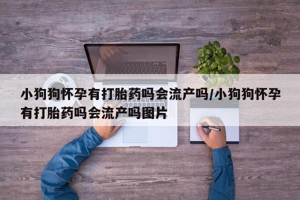 米非司酮在线下单小狗狗怀孕有打胎药吗会流产吗/小狗狗怀孕有打胎药吗会流产吗图片