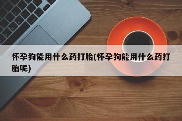 米非司酮在线下单怀孕狗能用什么药打胎(怀孕狗能用什么药打胎呢)